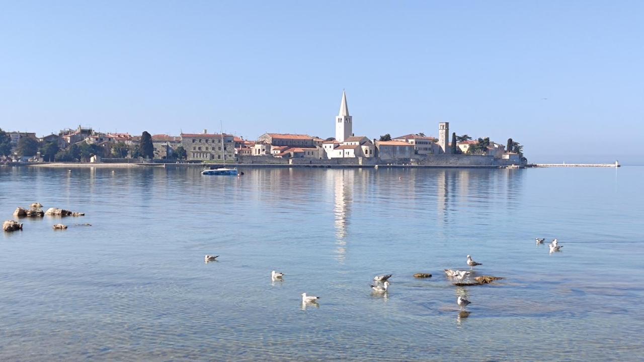 Apartments Marla Poreč Zewnętrze zdjęcie
