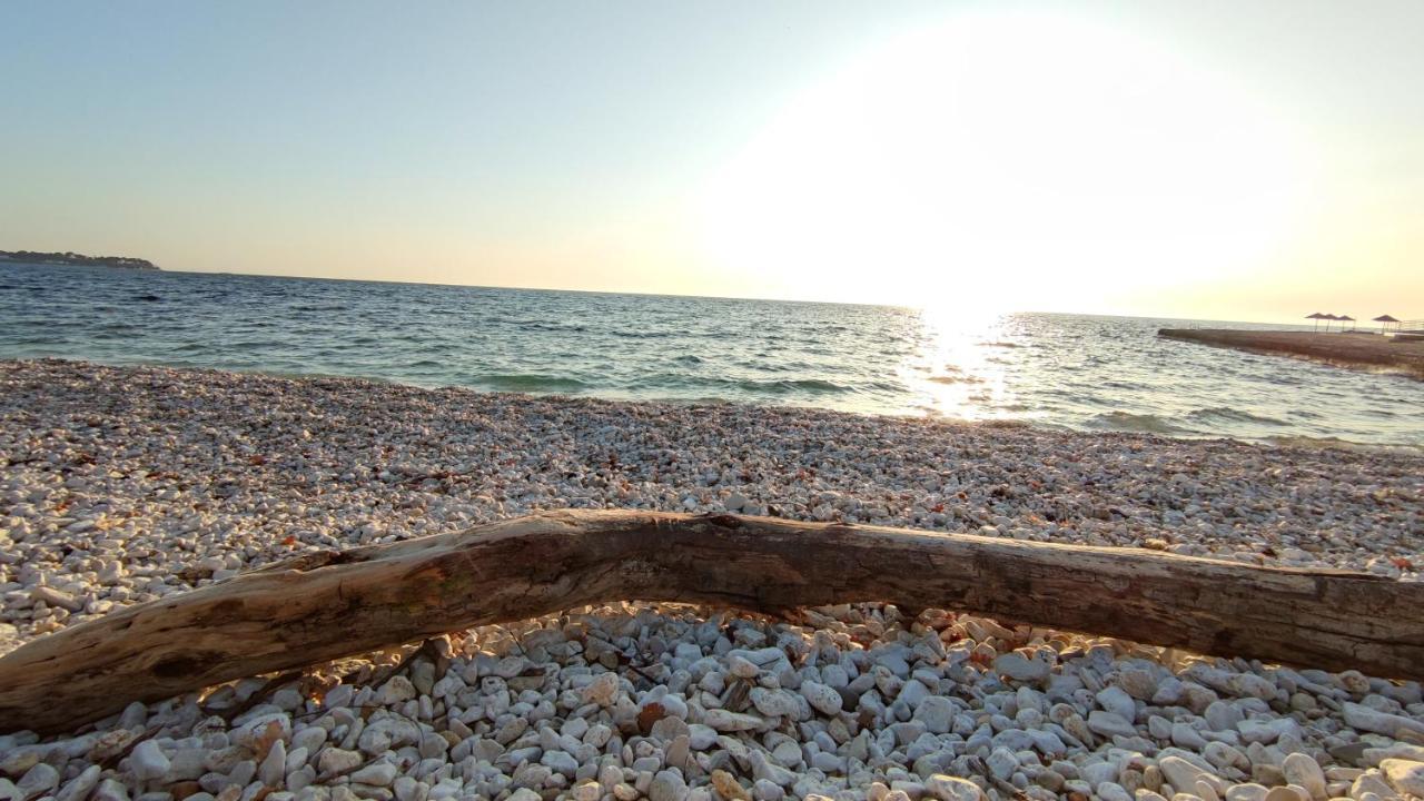 Apartments Marla Poreč Zewnętrze zdjęcie