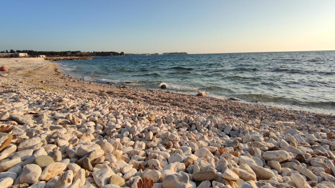 Apartments Marla Poreč Zewnętrze zdjęcie