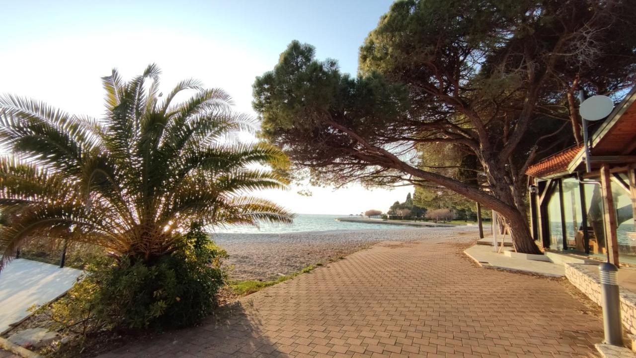 Apartments Marla Poreč Zewnętrze zdjęcie