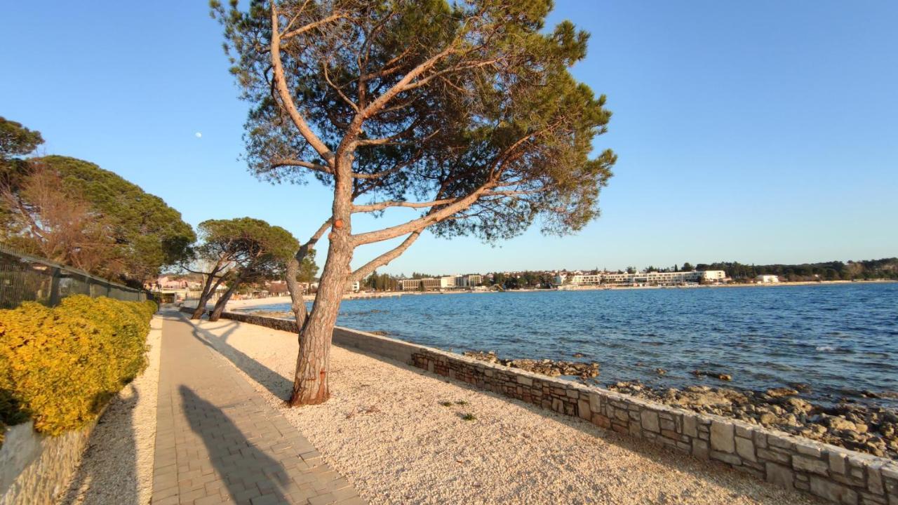 Apartments Marla Poreč Zewnętrze zdjęcie